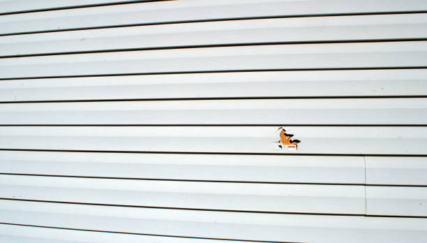 Best Stucco Siding  in Bargaintown, NJ