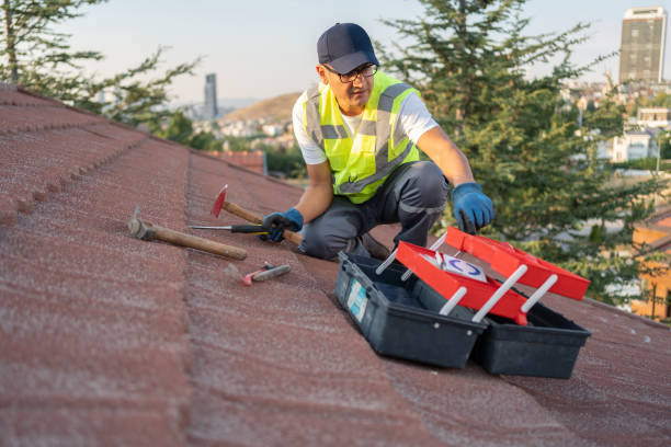 Best Historical Building Siding Restoration  in Bargaintown, NJ