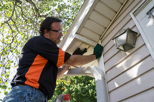 Best Stone Veneer Siding  in Bargaintown, NJ